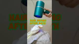 Pets Care | Hair drying after shower | #petscare #parrot #cocktailbird