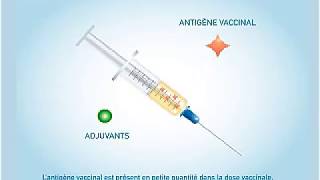 Un vaccin comment ca marche?  wmv