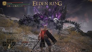 [Elden Ring] Full-Grown Fallingstar Beast (in Mt. Gelmir) field boss fight | No Damage | 2024