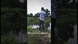 LAGU MANCING KUMPOW