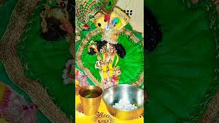 Aarti Kunj Bihari ki | #laddugopal #radhakrishna #vrindavan #radhe #statusvideo