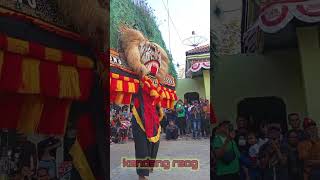 SOLAH DADAK MERAK KEREN OBYOK REOG PONOROGO GOMBLOH VS KEMAL Di JABUNG#reogponorogo #dadakmerak