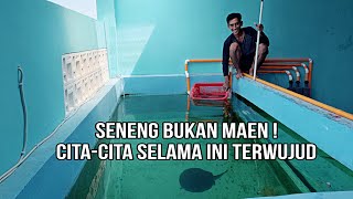 Perdana! Akhirnya Megatank membuahkan hasil || breeding ikan pari