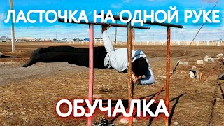 Как научиться делать ласточку на одной руке? Обучалка на ласточку на одной руке