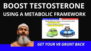 Optimal Blood Panels equals Optimal Testosterone Levels