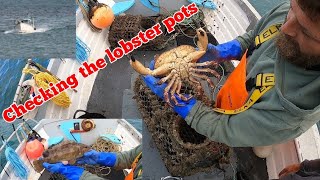 PULLING THE LOBSTER POTS 🦞