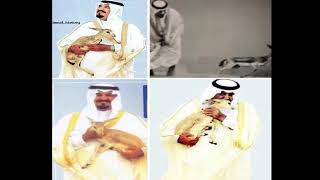 محمد عبده - المها والريم في الامير سلطان بن عبدالعزيز