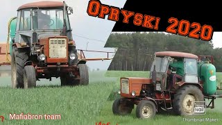 ★OPRYSKI 2020 z Tatą★ Sarny na polu???★ Wielki test Lumixa ★ Mafiabron Team