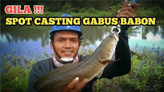 GILA !!! SPOT DI SINI ISINYA BABON SEMUA || CASTING GABUS