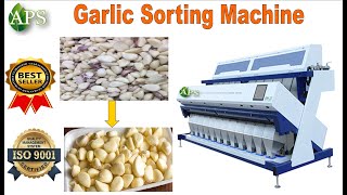 Sorting Machine in APS Industries 🧄🧄 9409150555