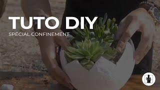 TUTO DIY - Spécial Confinement 🧻🌹 - Max le Fleuriste