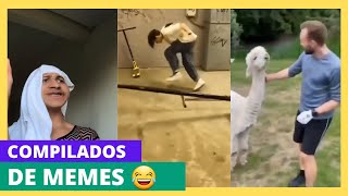 OS MELHORES COMPILADOS DE MEMES - TENTE NÃO RIR! [Jae Bangz]