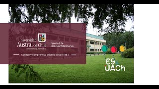 Saludos en este 69° aniversario UACh, Decano Fac. Ciencias Veterinarias, Dr. Ricardo Enríquez