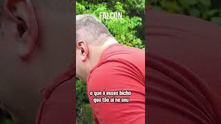 TEMOS QUE SALVA   LO! #renanfalcao  #falcon #humor  #fy #viralvideo