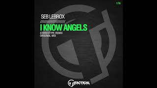 TR175 Seb LeBrox - I know Angels (Stereotype Remix)