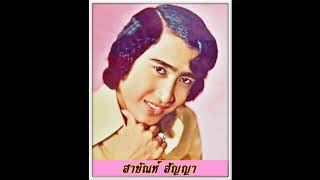 นักร้องบ้านนอก : สายัณห์ สัญญา