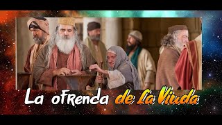 🌷 La ofrenda de la Viuda ⌛