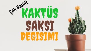 KAKTÜS SAKSI DEĞİŞİMİ | KAKTÜS TOPRAK DEĞİŞİMİ | BASİT ve KOLAY