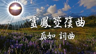 福智讚頌【靈鳳箜篌曲】｜30分鐘連續