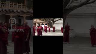 Ever seen so many monks and that too Dancing? It was my first in Bhutan! #travel  #dance #solo