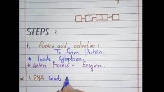 Protein synthesis part 4(Translation)