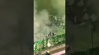 PYRO - KS Lechia Gdańsk - Stal Mielec 30.10.22