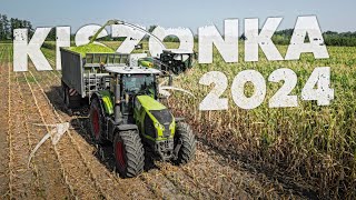 KUKURYDZA NA KISZONKĘ 2O24! w GR KOŁOSZYC & UR DROZDA ☆ CLAAS JAGUAR 950! ☆ 3X CLAAS & FLIEGL ☆ AW ™