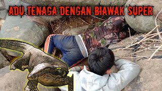 PERJUANGAN BERBURU BIAWAK SUPER DI SUNGAI (part 2)