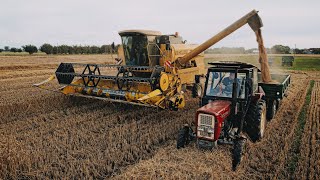 🇵🇱Ostatnie Żniwa 2022 u Nas! ☆ New Holland TC56 ☆ NOWY NABYTEK - METANGA BT200 & URSUS C360 ☆ AW ™