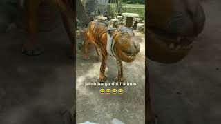 Jatoh harga diri harimau 🤣🤣🤣 #shorts