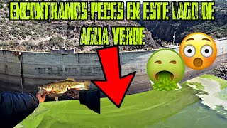 ENCOTRAMOS peces en este LAGO de AGUA VERDE!!🟩🤮