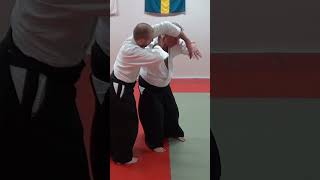 Aikido in slow motion: NIKYO against grab and strike attacks, by Stefan Stenudd