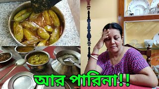 Bengali Vlog # নানা বাধা থাকা সত্ত্বেও আজ এত রান্না করতে হল