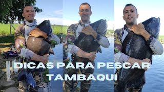 Pesqueiro Recanto dos Gigantes II: Pescando Tambaqui.