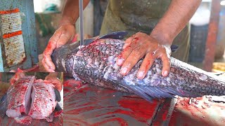 Cutting Of Large Fish By Machine | Giant Rohu Fish Cleaning & Chopping By Expert Fish Cutter | Fish