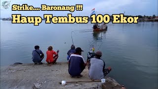 Pesta Strike, Tembus 100 Ekor Baronang