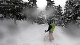 Ski Touring Paul Ridge - Feb 15 2021 (Bonus car crash at the end)