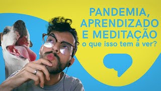 Pandemia, Aprendizado e Meditação: O que isso tem a ver? #festivalpitchibb