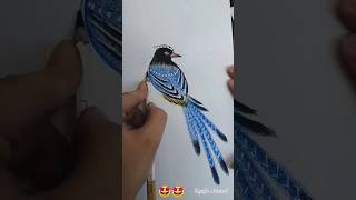 Menggambar burung cantik #Shorts #trending #gaming #viral