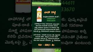 వరి నారుమడి చనిపోతుందా || వరి నారుమడిలో పోషకలోపలు || Rice deficiency by teluguraitu tips #Narumadi