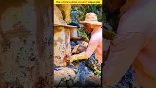 Bee Hive Found Inside Wood 🤯 Wood working with art handcraft ideas | skill-art #shorts