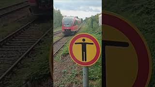 RB 51 ➡️Enschede (NL)  in Ahaus (NRW) #train #trainspoting #trainspotter #railway #train #shorts