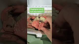 Aku doyan Seefood. Tapi mending pilih undang drpd kepiting