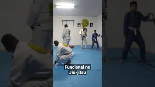 #funcional  #jiujitsu #bjjlifestyle #shorts