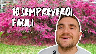 10 PIANTE SEMPREVERDI FACILI PER TUTTI I GIARDINI