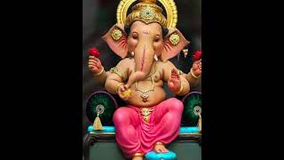 Ganpati bappa morya kabootri wala song video ♥️😍