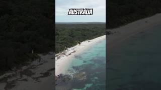 Areia branquinha.. águas cristalinas 🥰#jervisbay #australia #shortsvideo #vidanaaustralia #viagem