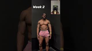 Week 2 Bulking Body Update | 215lbs to 220lbs