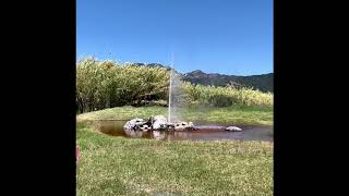 Epic geyser eruption in slow motion!