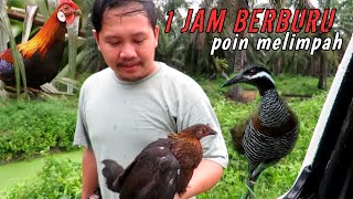 CUMAN 1 JAM BERBURU SUDAH POIN MELIMPAH....‼️//  ANAK & ISTRI BETAH DI AJAKBERBURU👍👍